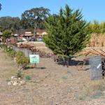 Cambria_0409 (November 01, 2013)